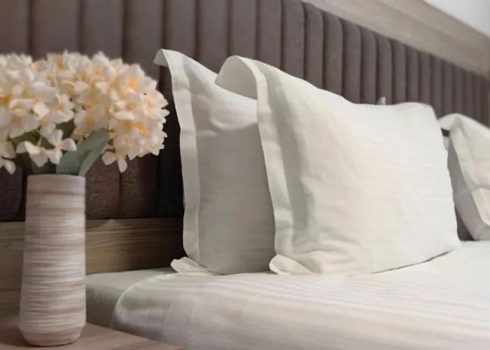 Evelin Deluxe House 招待所 普罗夫迪夫