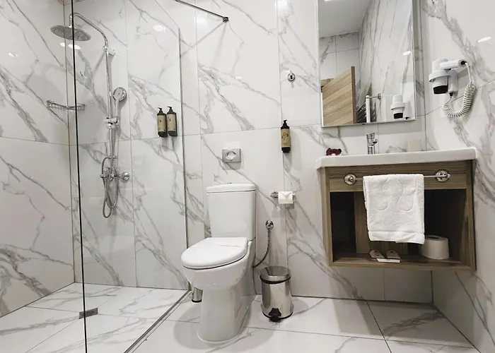 Evelin Deluxe House 4* 普罗夫迪夫