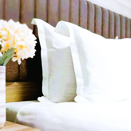 Evelin Deluxe House 4* Пловдив