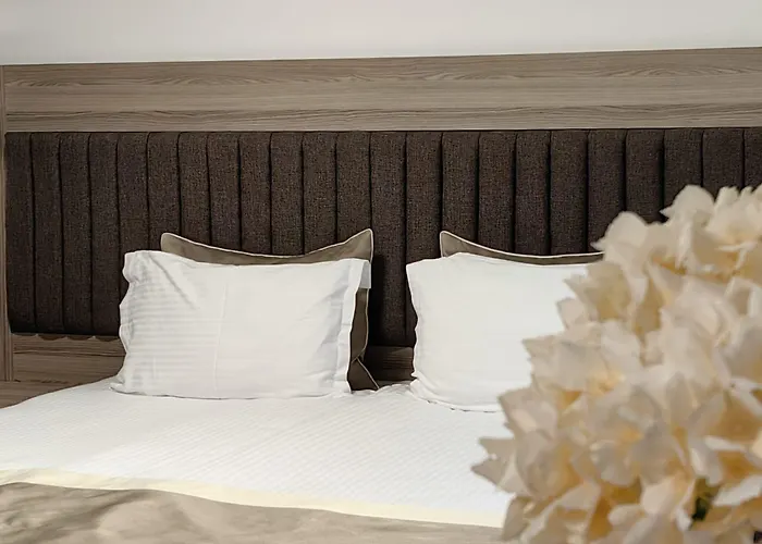 Evelin Deluxe House Pensión